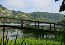 Chaotic Arrival at the Port